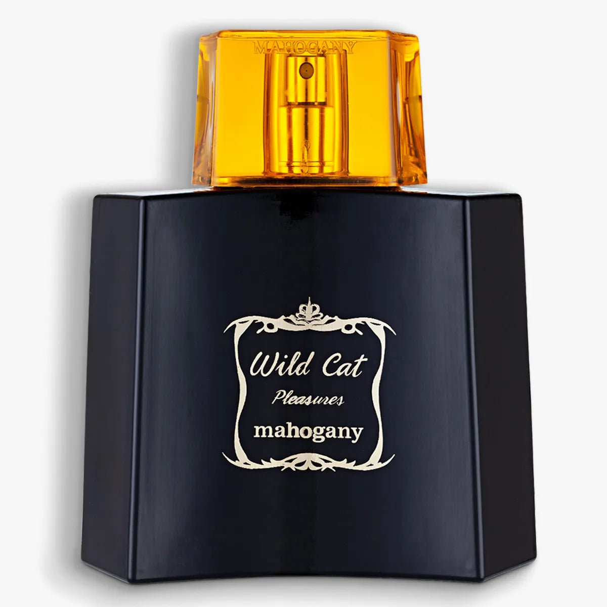 Kit Wild Cat com Caixa Dourada